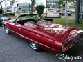 BEL815_079
