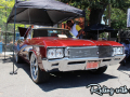 BMR18_019